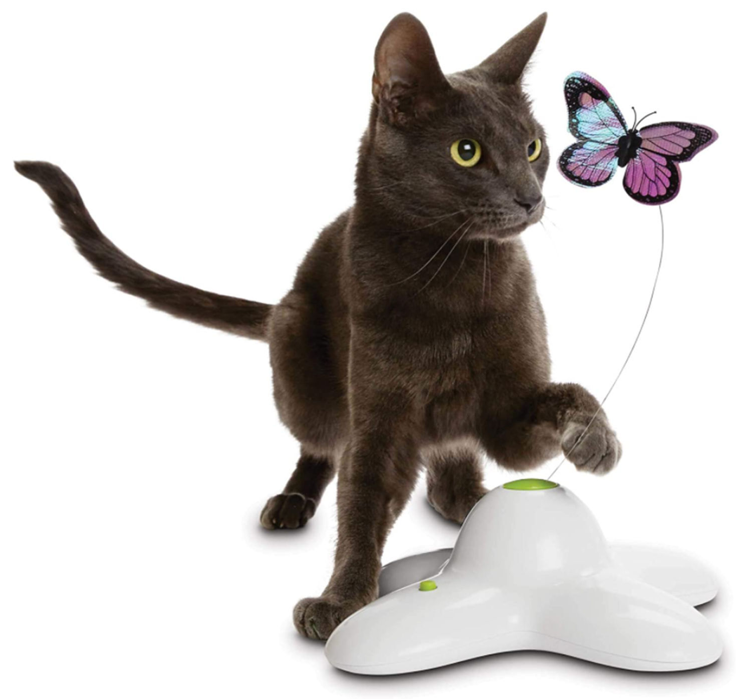 Leaps & Bounds Electric Flutter Butterfly Cat Toy
